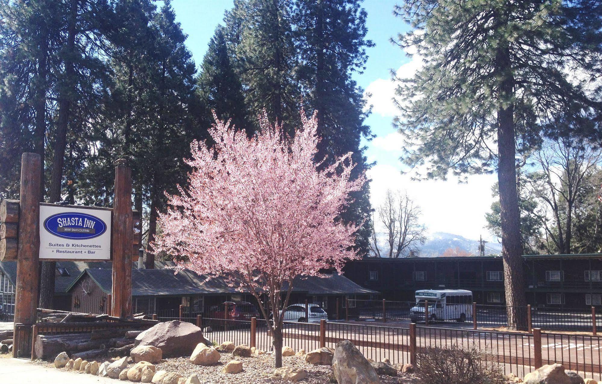 Shasta Inn Mount Shasta Luaran gambar